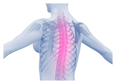 五十肩が他で改善しない理由